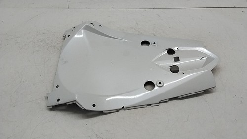 Kawasaki 1000 09 - z, carena